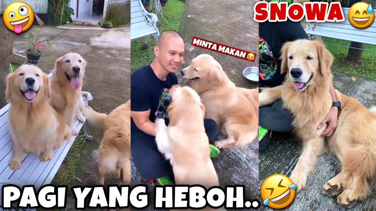 SNOWA SAYANG PAPA, KEBERSAMAAN DI HARI MINGGU PAGI 😘