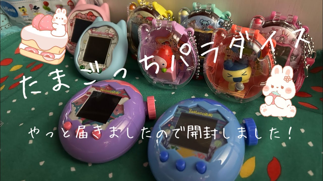 【たまごっちパラダイス】開封して少し触れてみた✨