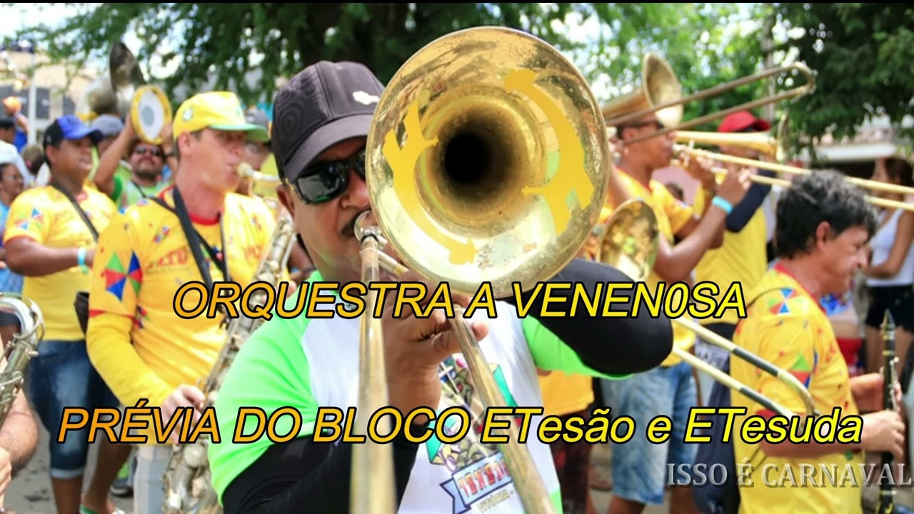 ORQUESTRA A VENENOSA - PRÉVIA DO BLOCO ETesão e ETesuda