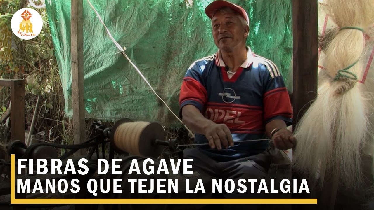 Fibras de Agave / MANOS QUE TEJEN LA NOSTALGIA