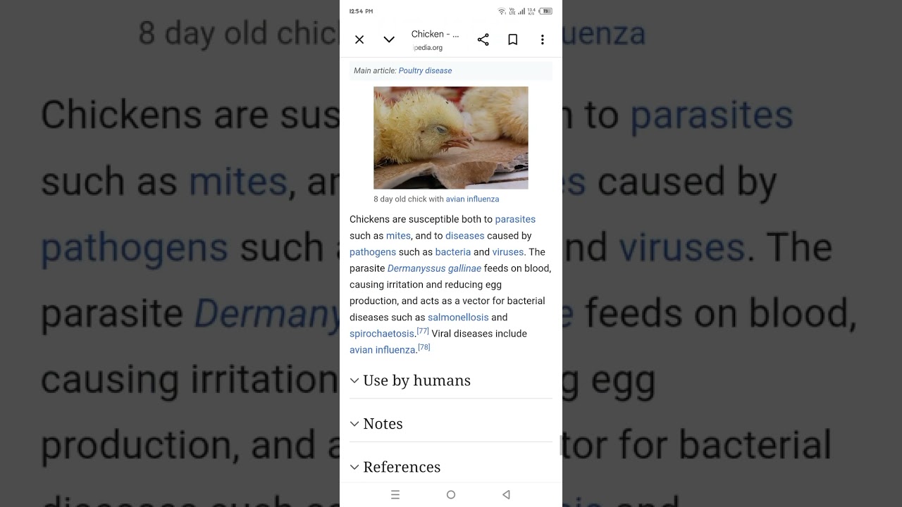 CLASSIFICATION OF AN CHICKEN