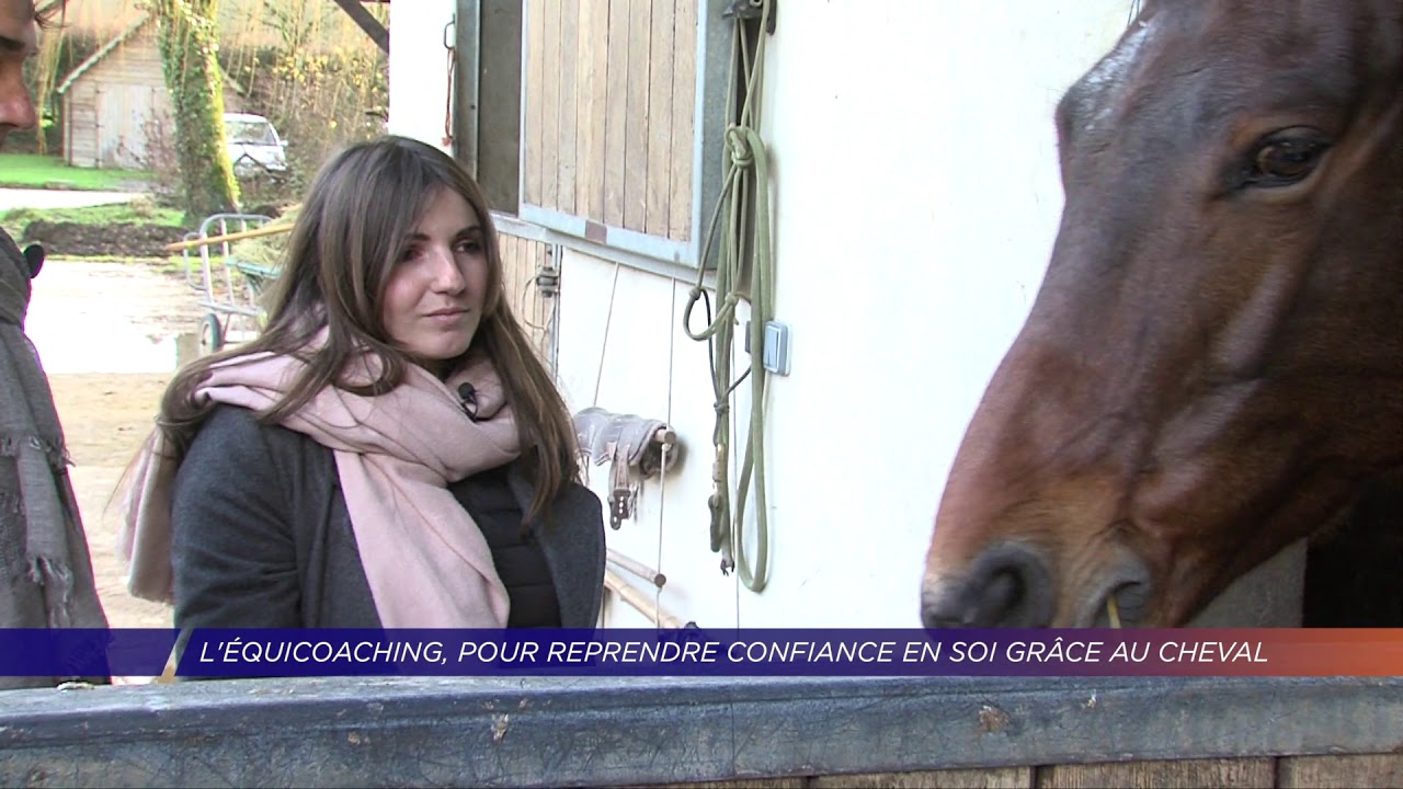 Yvelines | J'ai testé... l'équicoaching