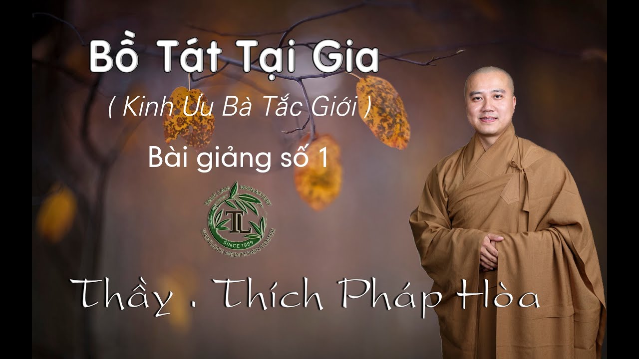 Bồ T&aacute;t Tại Gia 1 - Thầy. Th&iacute;ch Ph&aacute;p H&ograve;a ( Jan.23. 2016 )