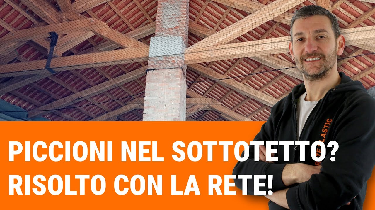 Come abbiamo risolto un’invasione di piccioni con una rete