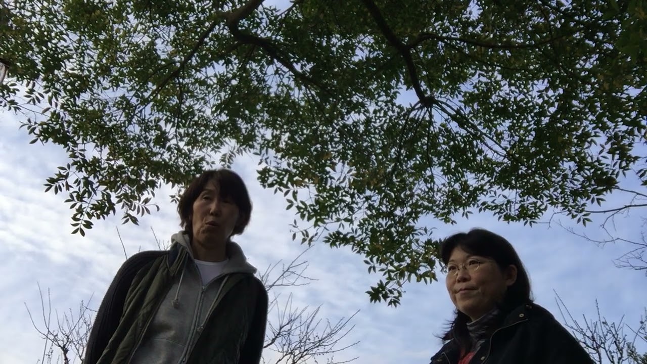 身体の不具合⁉️チャクラが関係してるかも❔