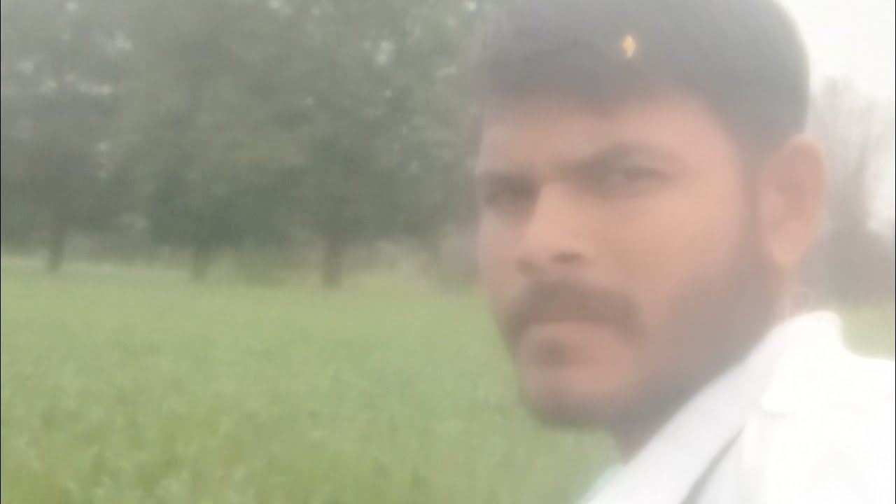 Gehun ki fasal dekhte hue khet per