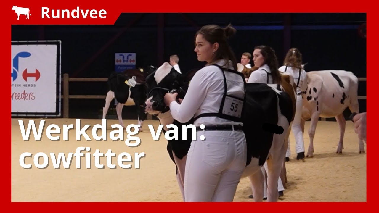 Dag uit het leven van een cowfitter