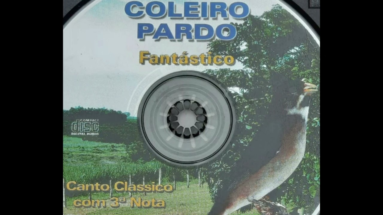 Coleiro Pardo Fantástico - Canto com Terceira Nota