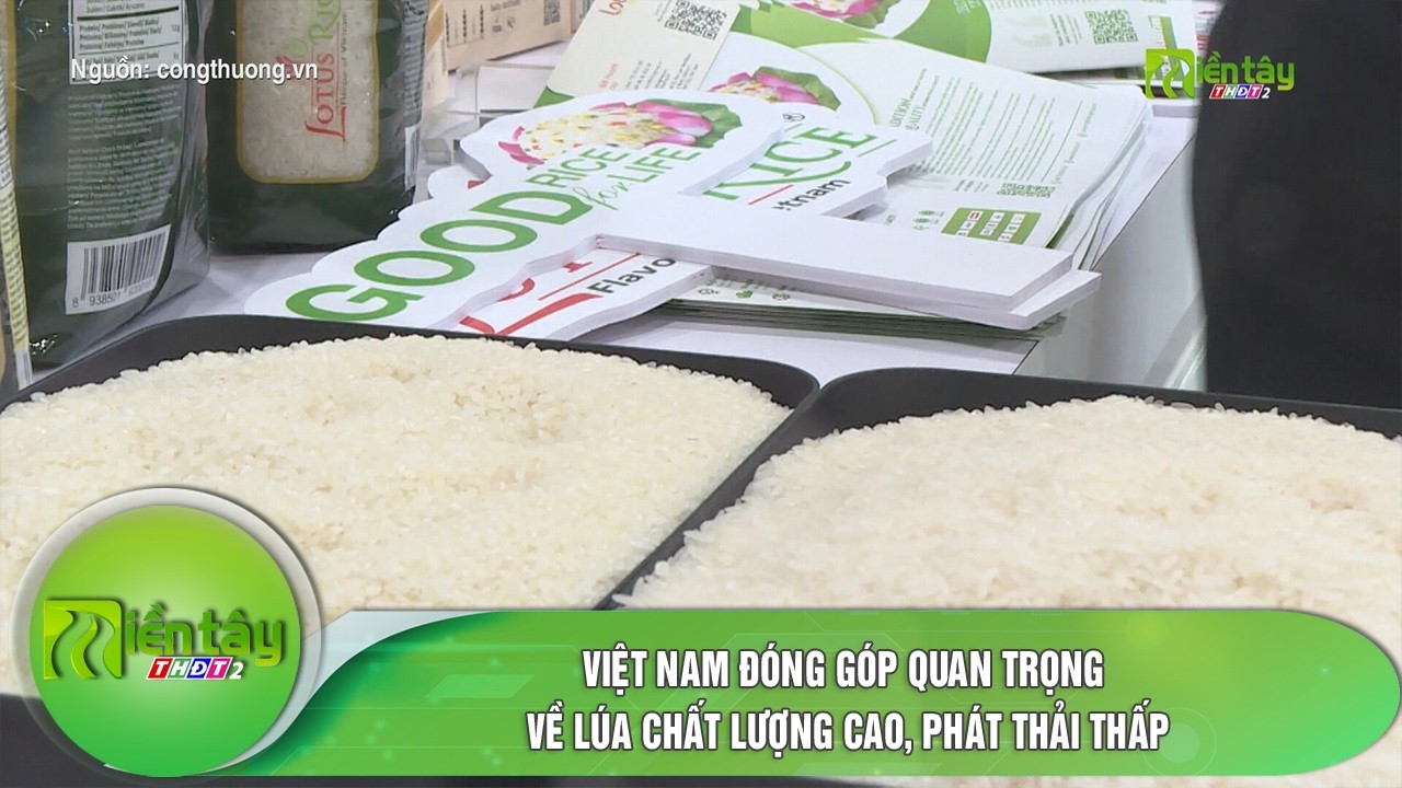 Việt Nam đóng góp quan trọng về lúa chất lượng cao, phát thải thấp