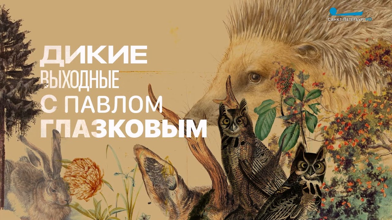 Дикие выходные с Павлом Глазковым. Парк «Сергиевка»