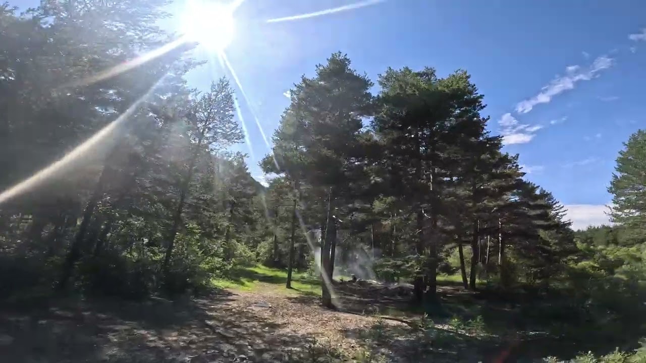 La Clar&eacute;e