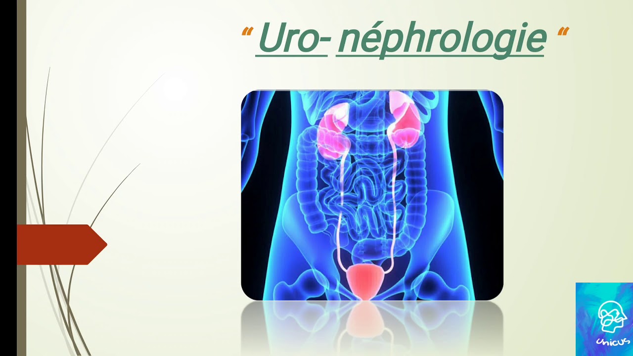 uro-nephrologie