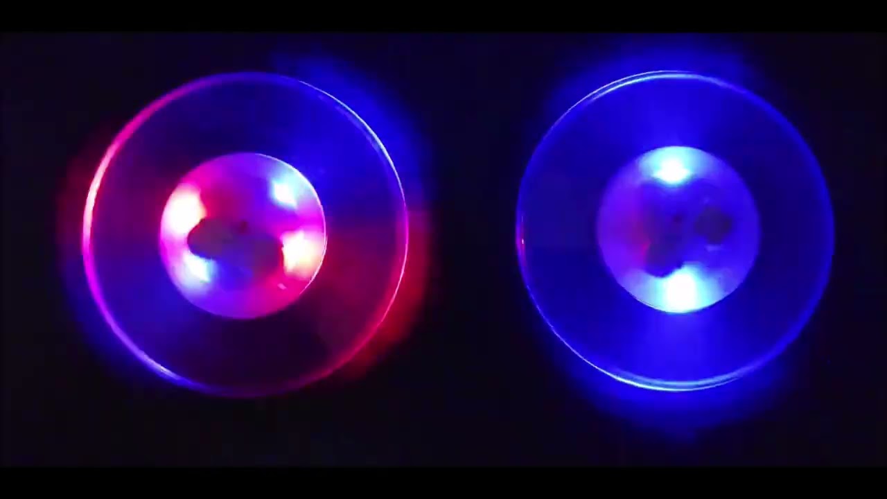 Death By Bass