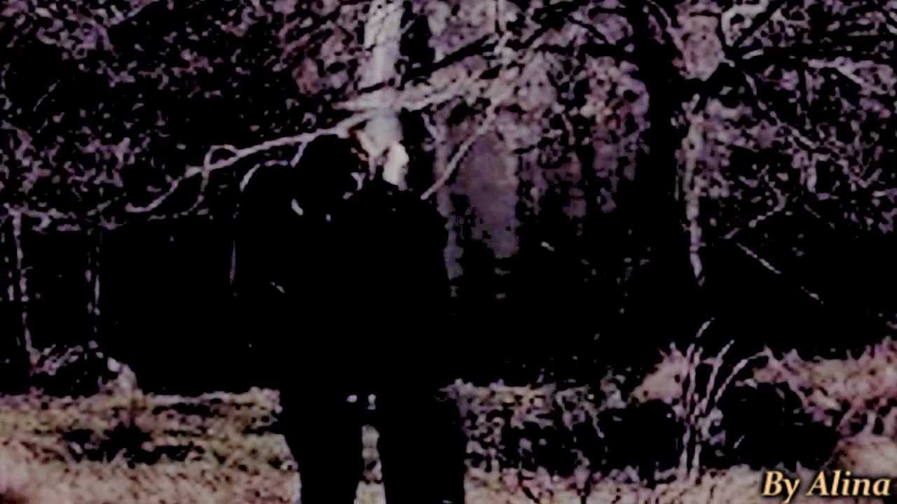 Stefan and Elena-Наказаны любовью ..