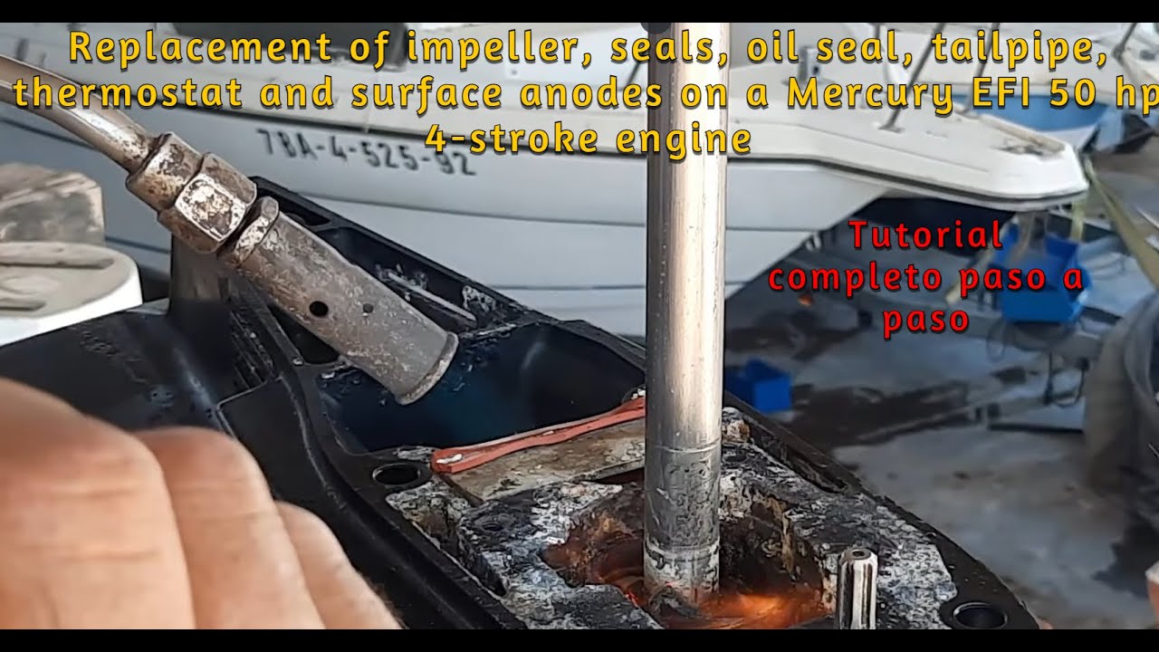 Cambio de impeler retenes aceite cola termostato y ánodos superficiales motor Mercury Efi 50 cv 4T