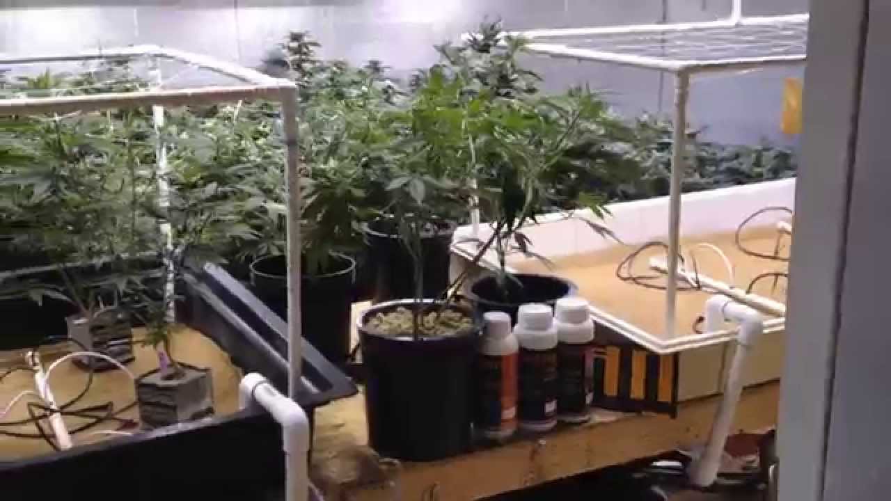 Metrop Nutrient veg room Product/Garden review