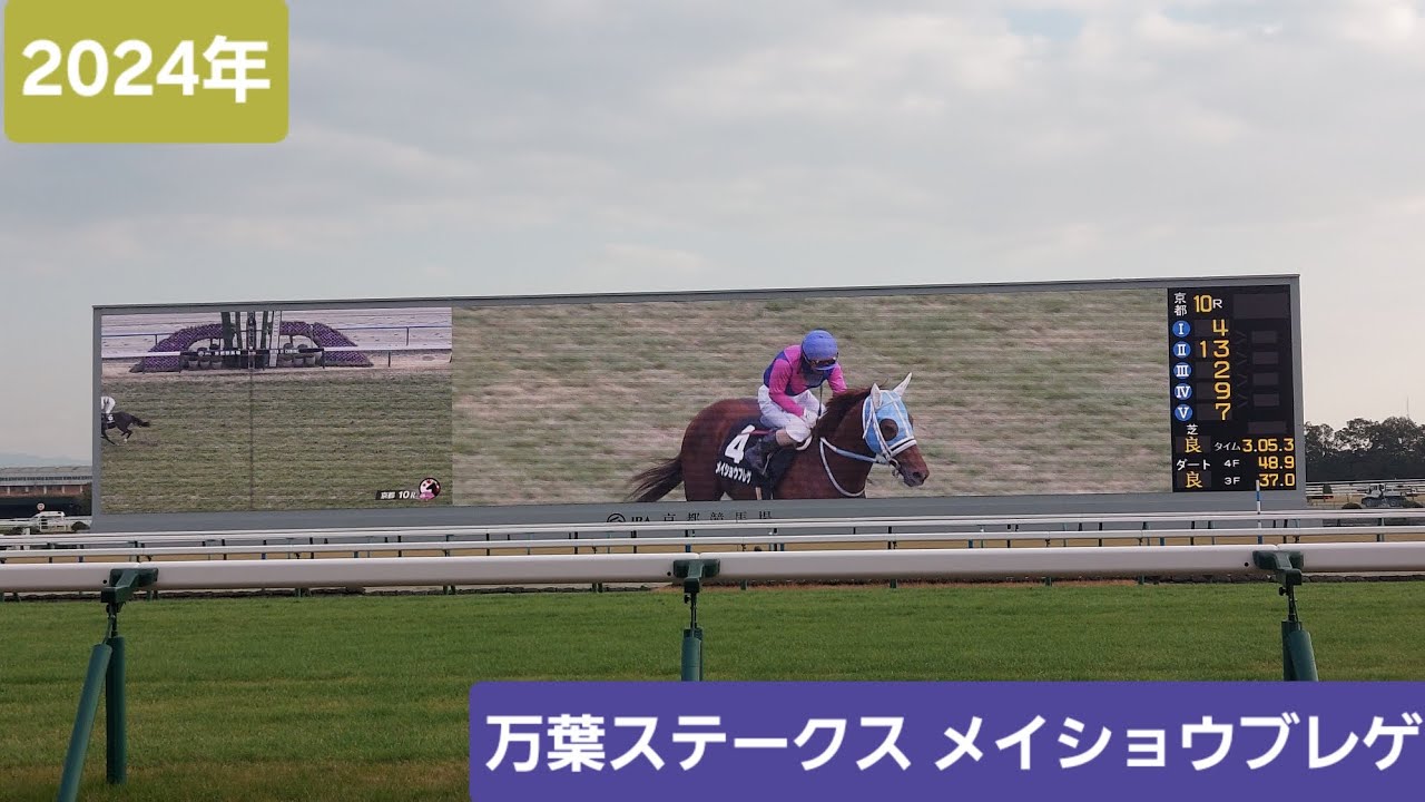 2024年1月6日万葉ステークス(L)優勝馬メイショウブレゲ号