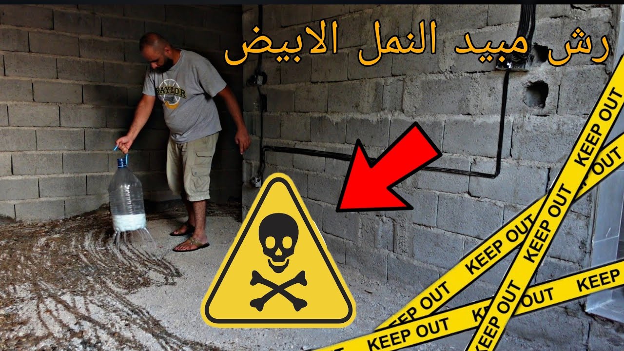 صب ارضيه البيت لاش  + رش الأرض بالمبيد النمل الأبيض