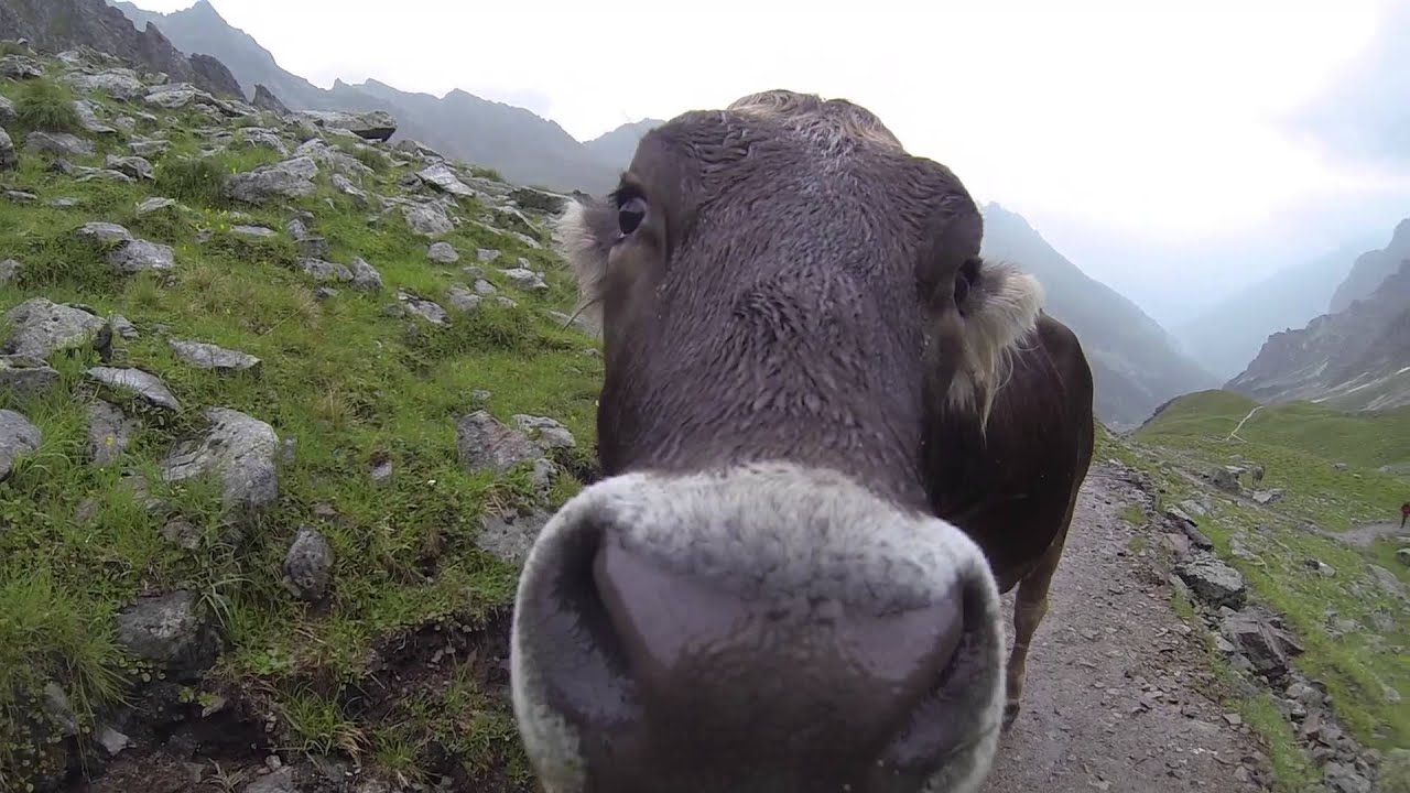 Teil 1. - Stubaier Höhenweg 26.07.-01.08.2014