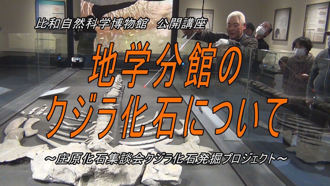 庄原市／クジラ化石発掘報告／その(4)地学分館のクジラ化石