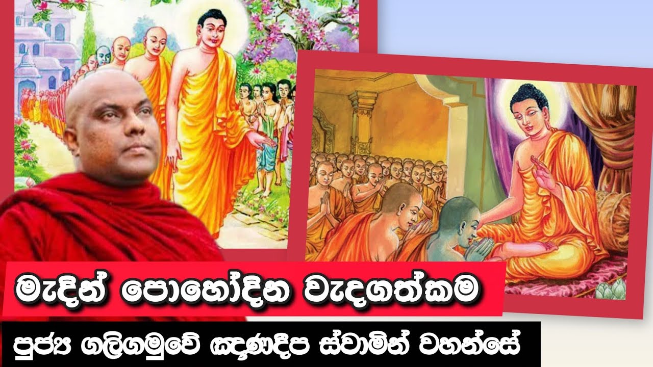 මැදින් පොහෝදින විශේෂ ධර්ම දේශනාව |#galigamuwe_gnanadeepa_thero |2026.03.02