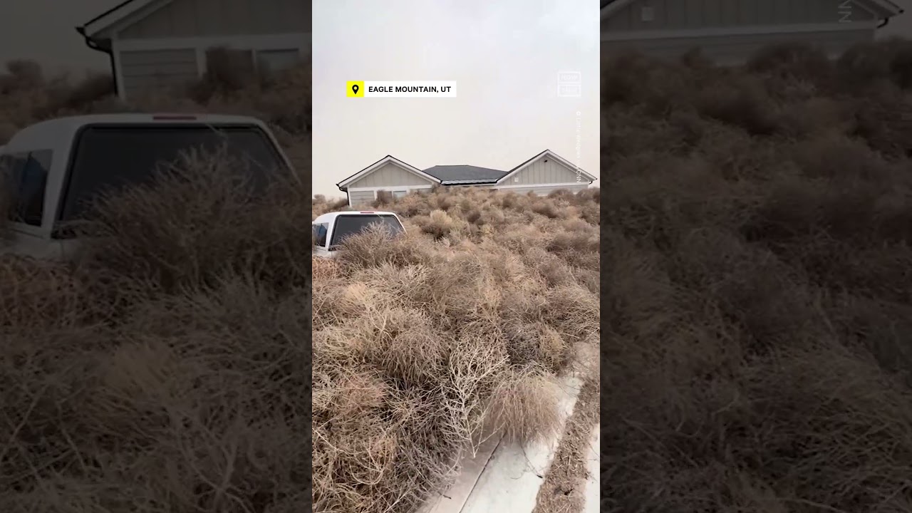 Utah, Nevada Towns Hit With 'Tumblemageddon'