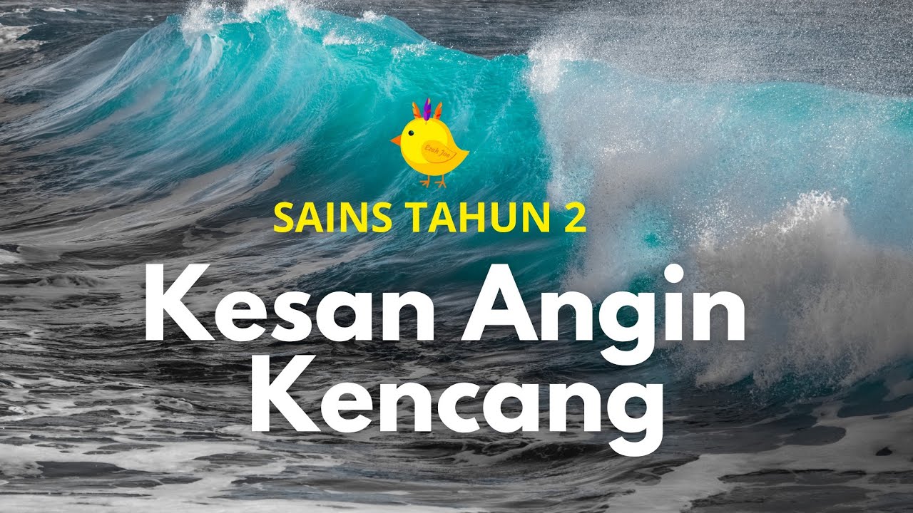 Kesan ANGIN KENCANG | Sains Tahun 2