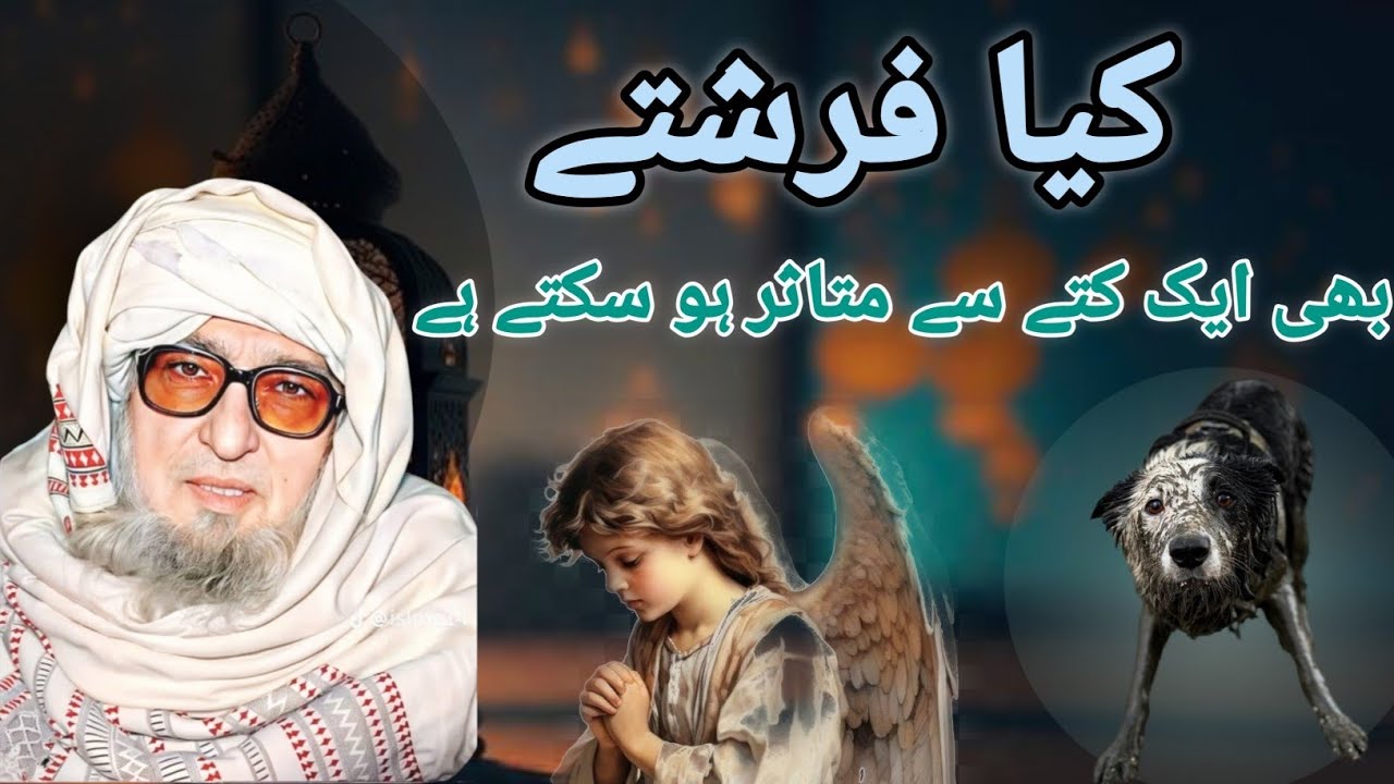 Mulana Bijligar Sab Bayan| mulana Bijligar Saab | Pashto Bayan | funny bayan | Islamic | @Niorullah 