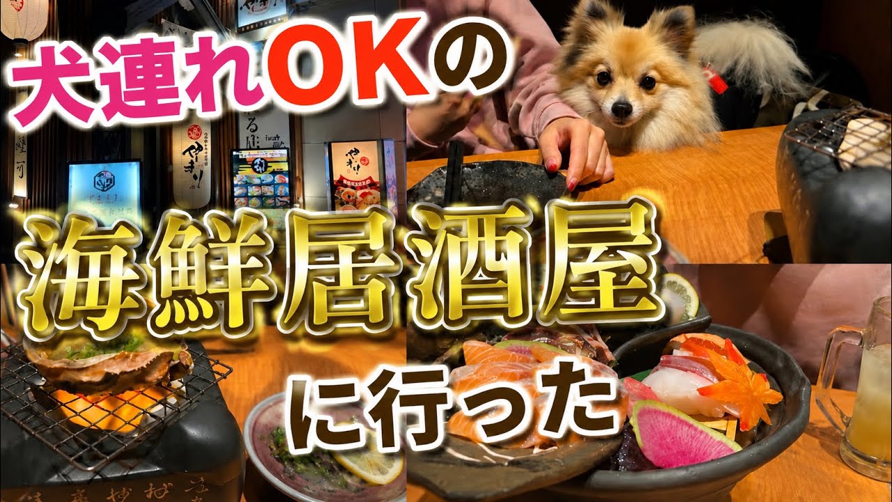 【ペット同伴OK】北海道の海鮮居酒屋にうたと行ってきました♪