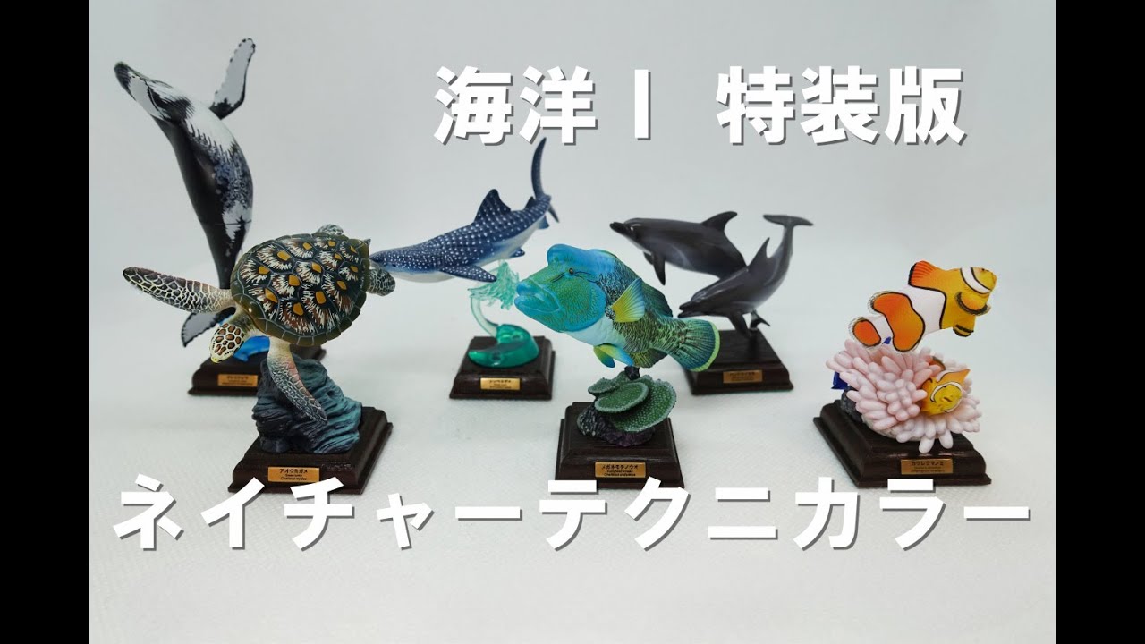 【ガチャ】ネイチャーテクニカラー 海洋Ⅰ特装版です。再販されるだけの理由があります。