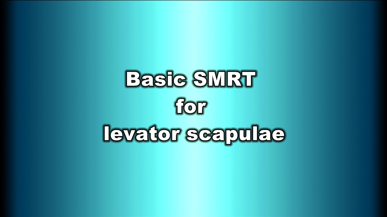 Basic SMRT for levator scapulae
