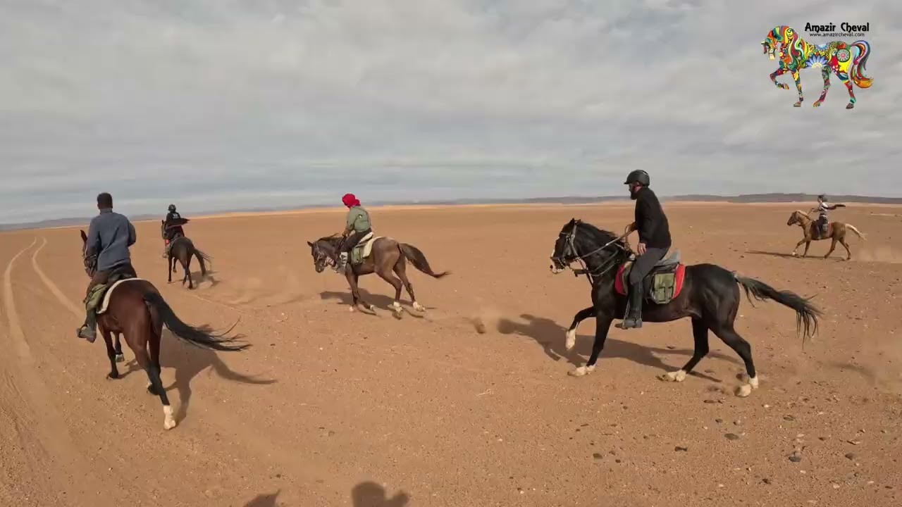 Amazing Equestrian Adventure into the desert - Amazir Cheval - 2022