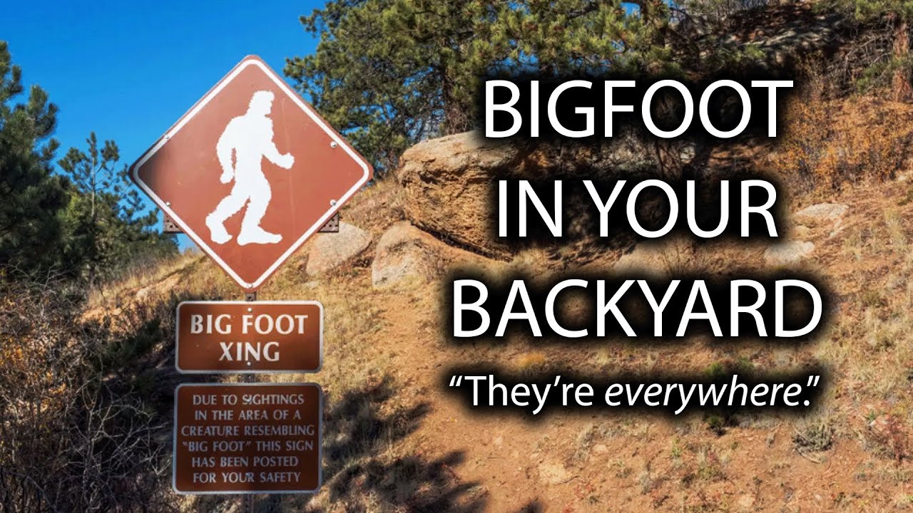 How to find Sasquatch: From beginners to experts