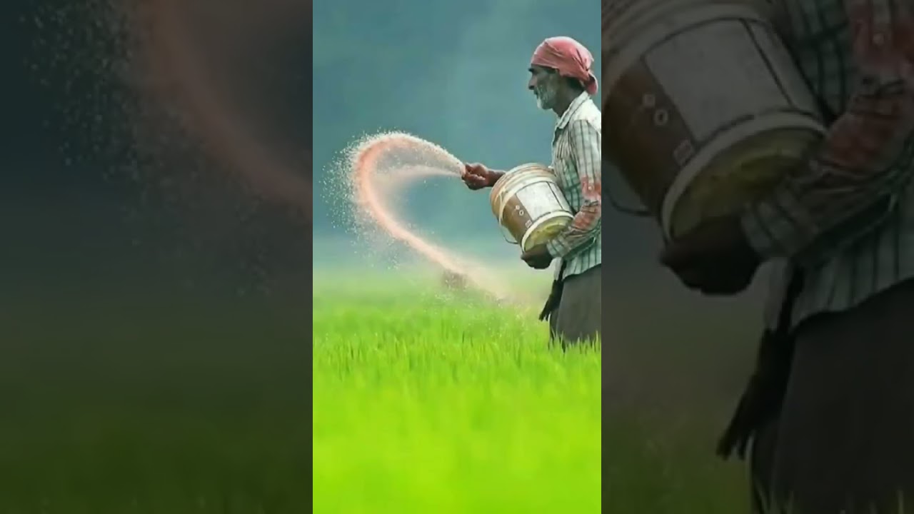 farmer status video #shorts