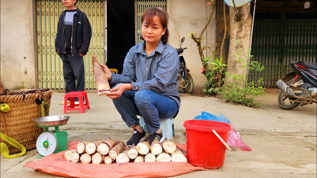 Harvest Bamboo Shoots and Snails to Sell at the Market
