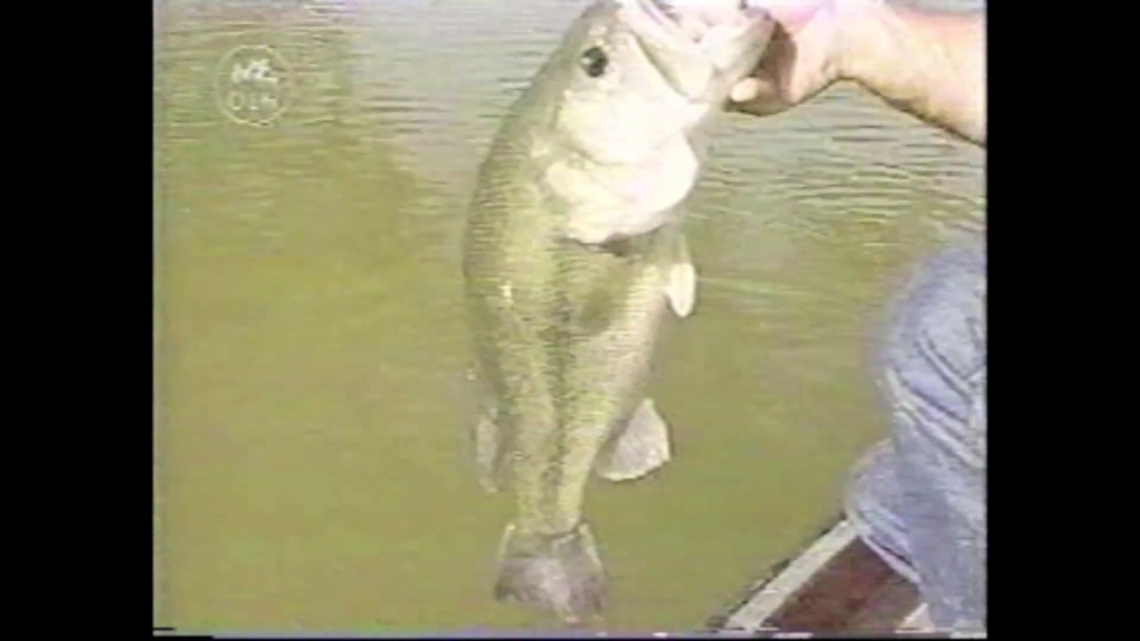 BASS FISHING: Larry Nixon 1998 