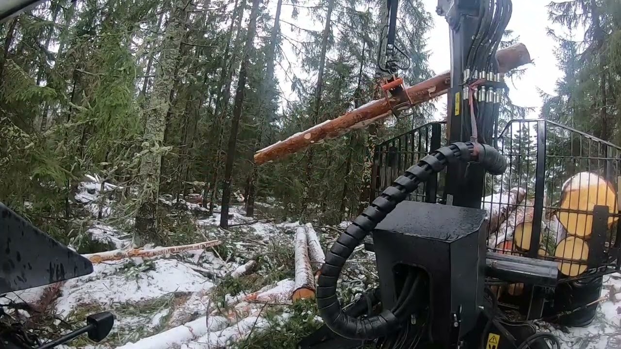 Puukuorma metsästä kovan höpinän kanssa