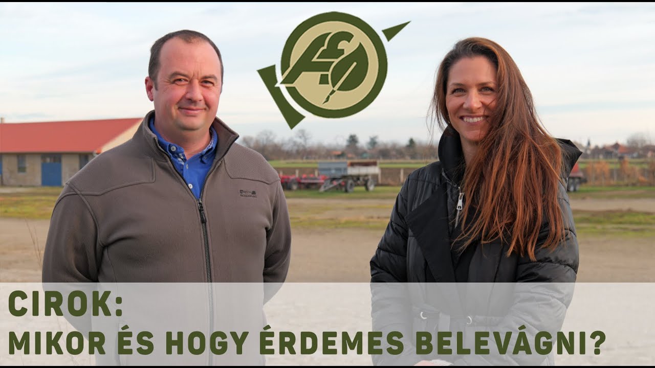 Cirok: mikor és hogy érdemes belevágni?