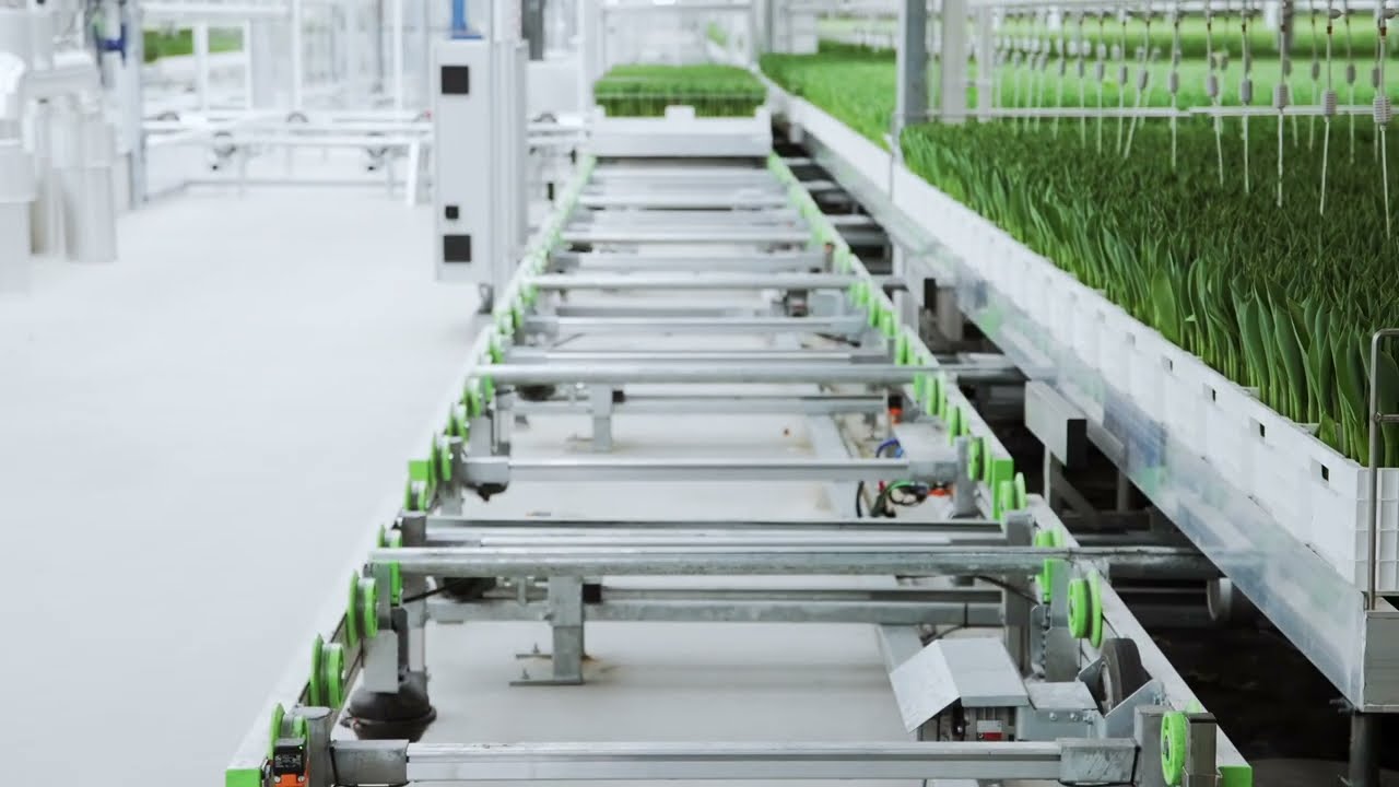 KG Systems - Ronico 2025