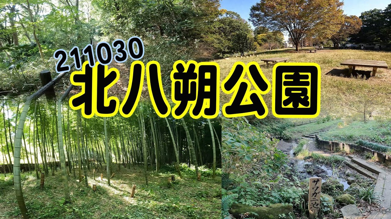 北八朔公園 (211030)