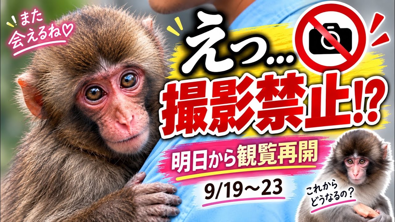  【パンチくん🐵】やっと会えると思ったら&hellip;「撮影禁止」⁉️明日からの新ルールにショックの声が‥