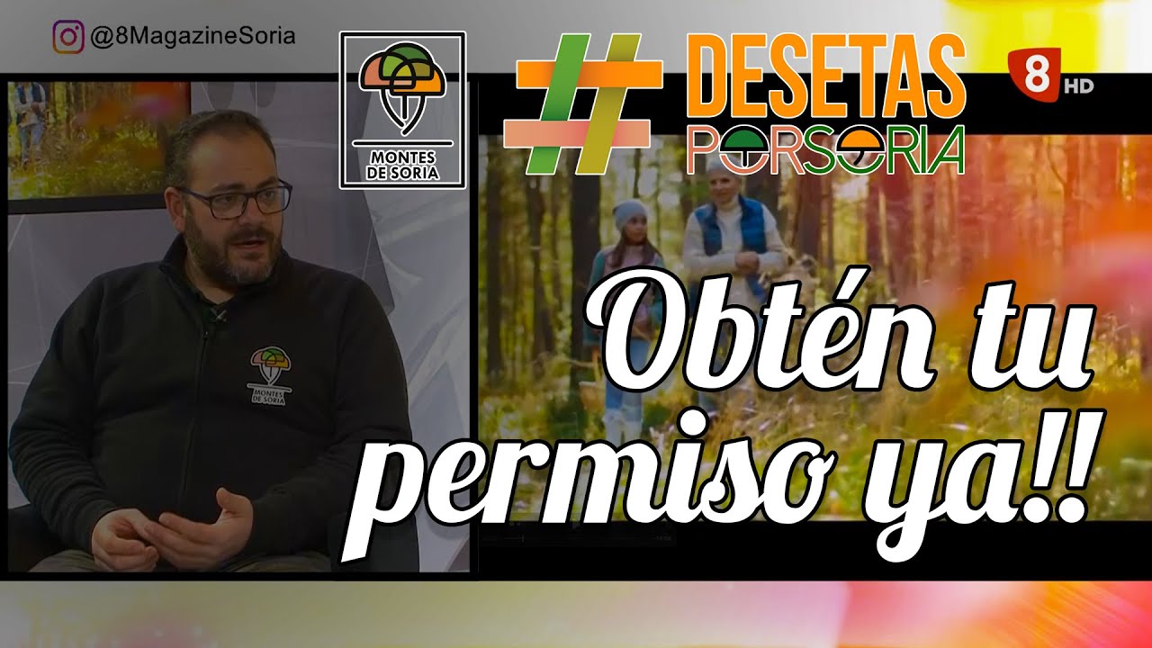 Ya puedes obtener tu permiso de recolecci&oacute;n de setas para todo 2022 - Asociaci&oacute;n Montes de Soria