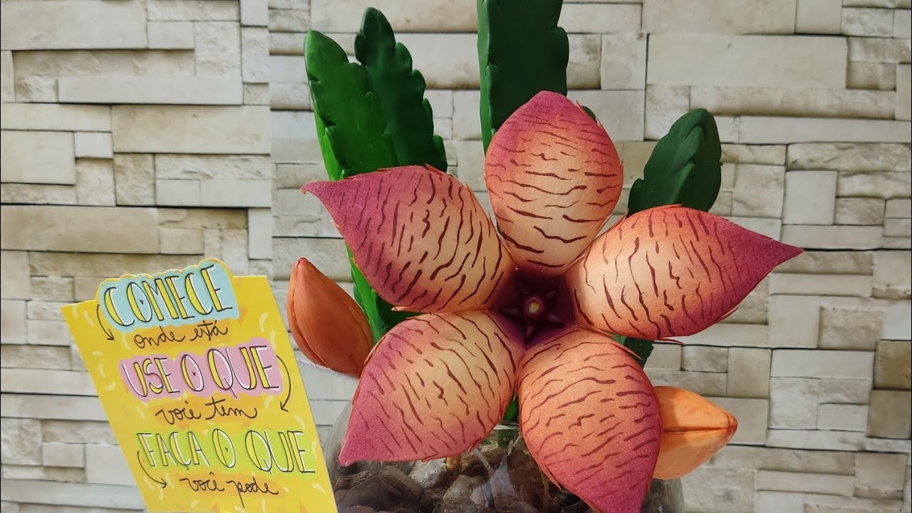 Flor de cacto Stapelia Gigantea