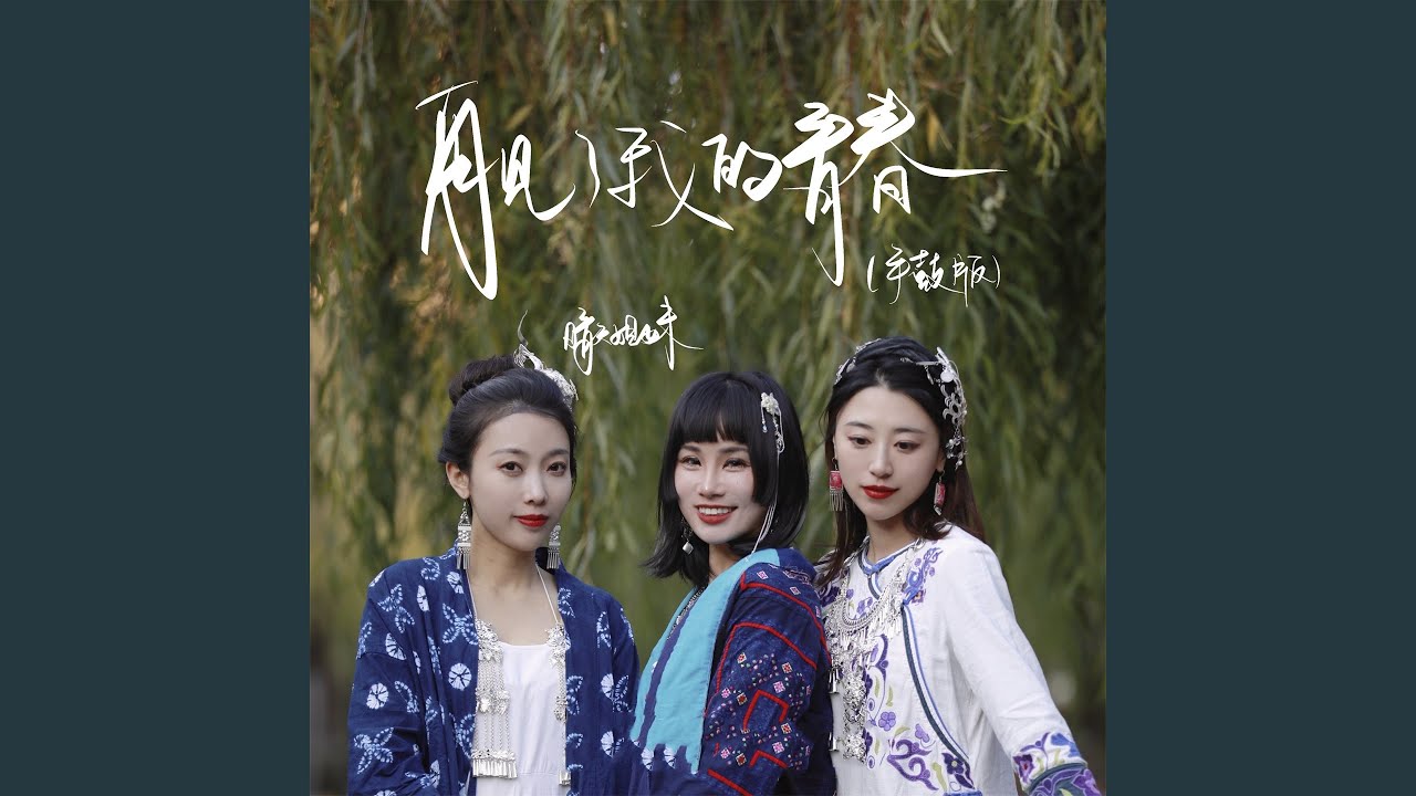再见了我的青春 (手鼓版)