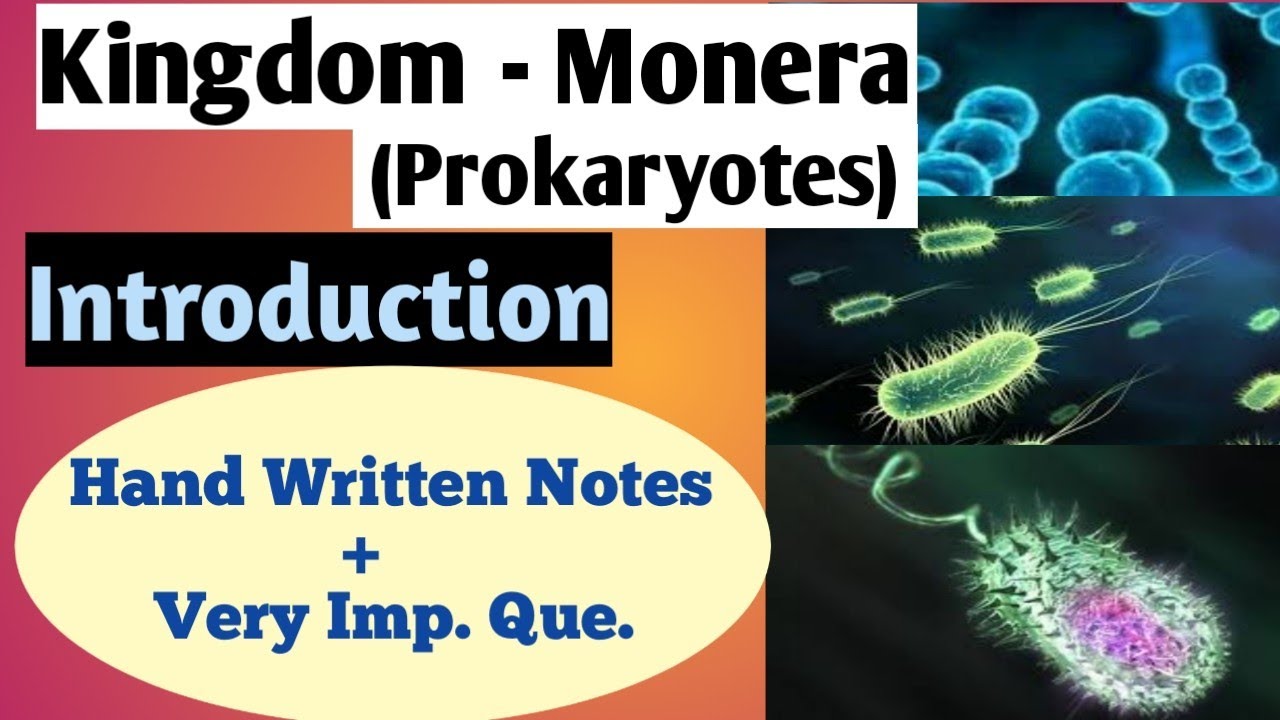 Kingdom - Monera : Introduction (Theory + Imp.Que)