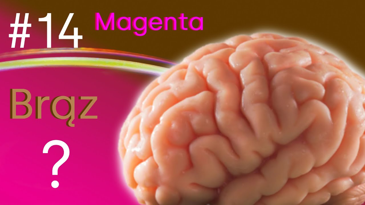 Drabina sztuki #14 — Magenta & brąz