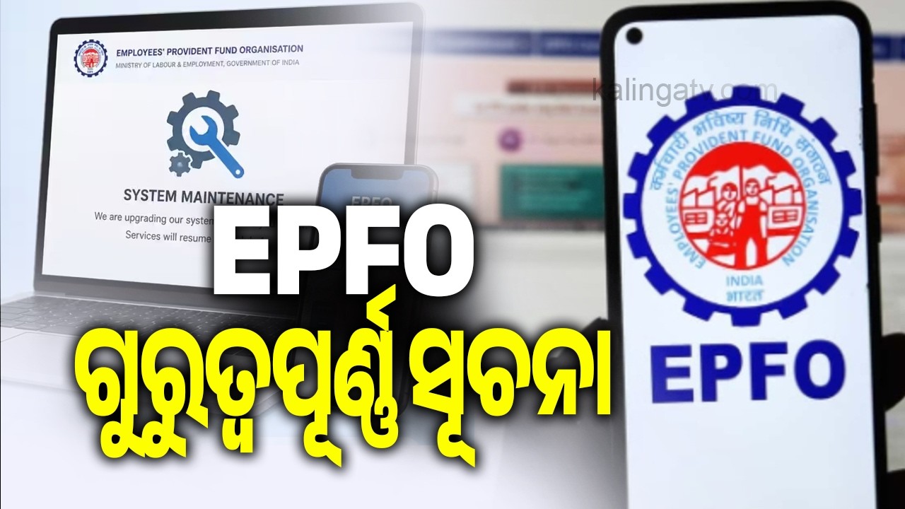 EPFO Alert: Online Claims and Passbook Downloads Temporarily Unavailable Until July 1st