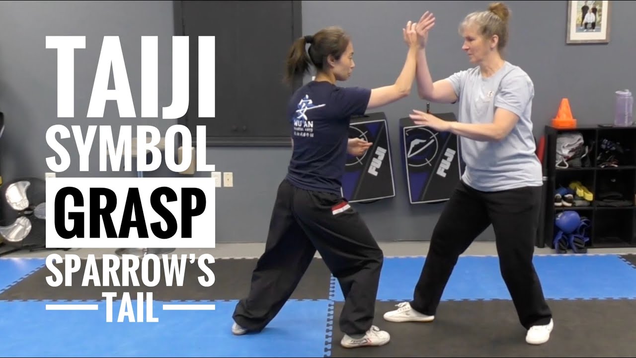 Taiji (Tai Chi) Symbol - Grasp Sparrow's Tail Left