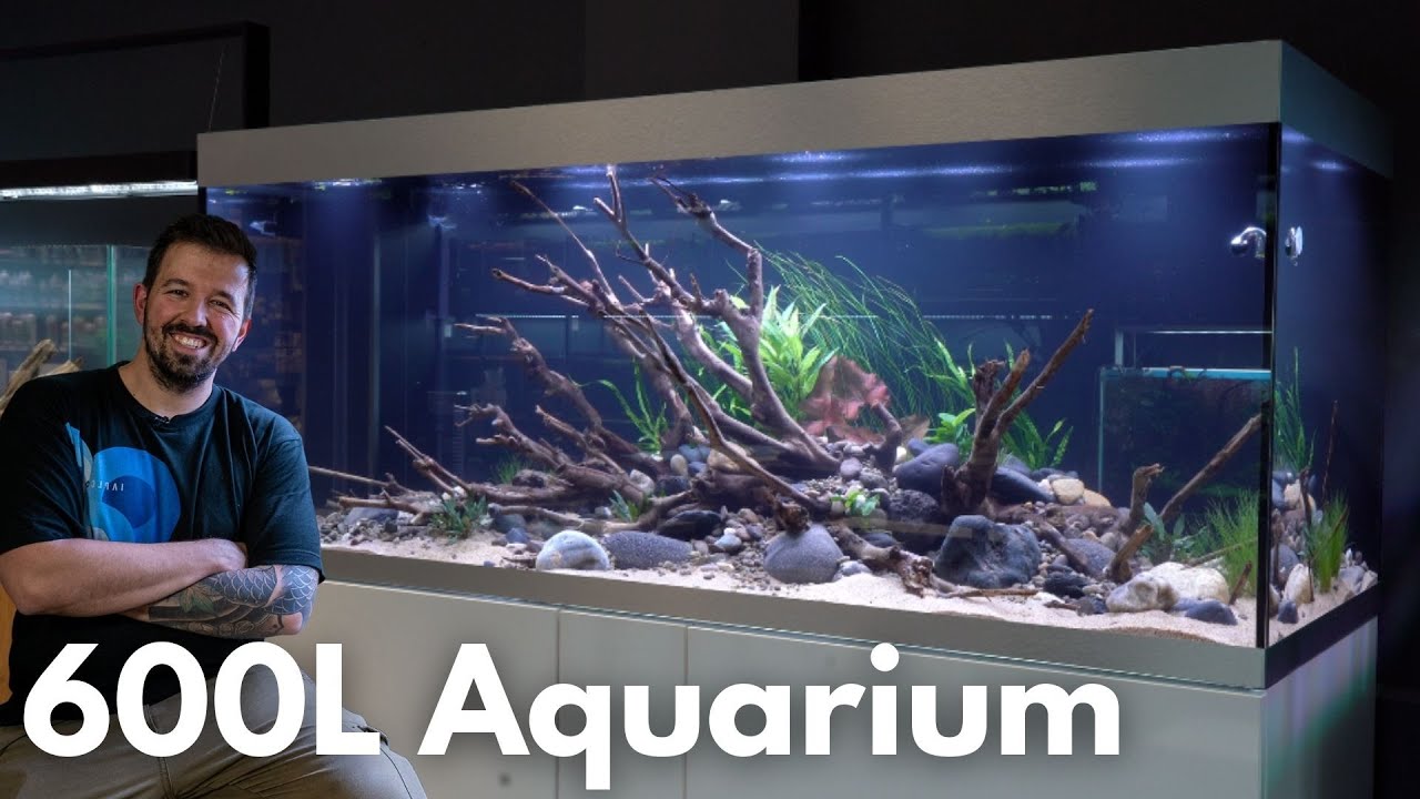 Bepflanzung vom 600L Fluss-Style Aquascape
