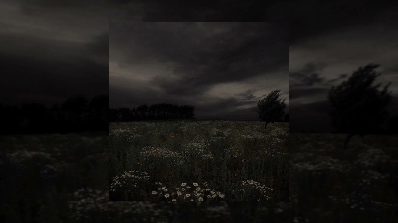 billie eilish - idontwannabeyouanymore بدون موسيقى مترجمة (slowed)